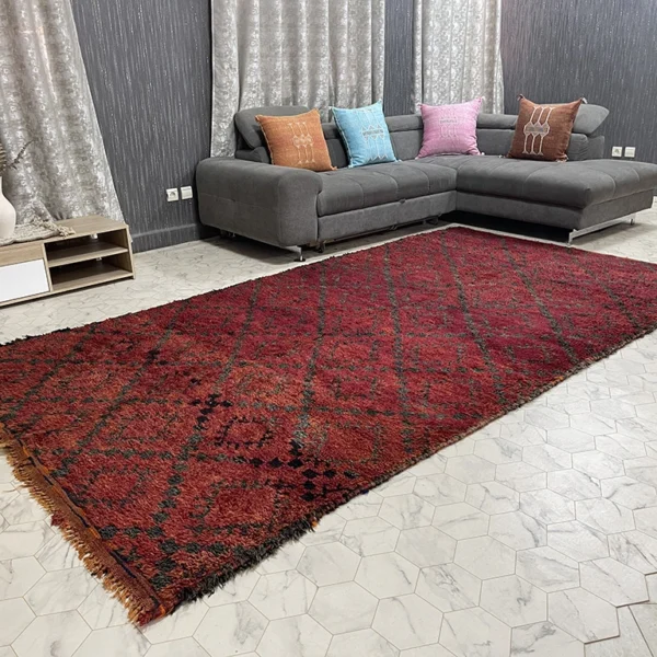 Ailt moroccan rugs